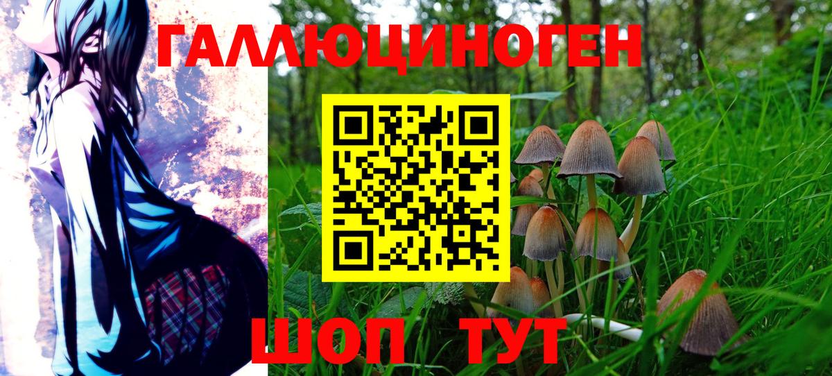 Воткинск  Псилоцибиновые грибы GOLDEN TEACHER  Галлюциногенные грибы мухоморы  Вход с VPN 