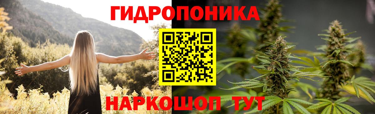 Канабис OG Kush Воткинск